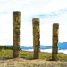 Totems