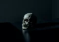 A human skull and its relfection set against a black background