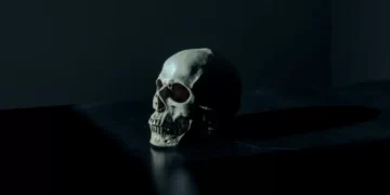 A human skull and its relfection set against a black background