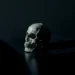 A human skull and its relfection set against a black background
